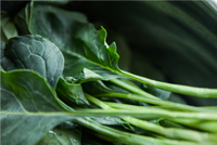 Everything You Need to Know about Vitamin K